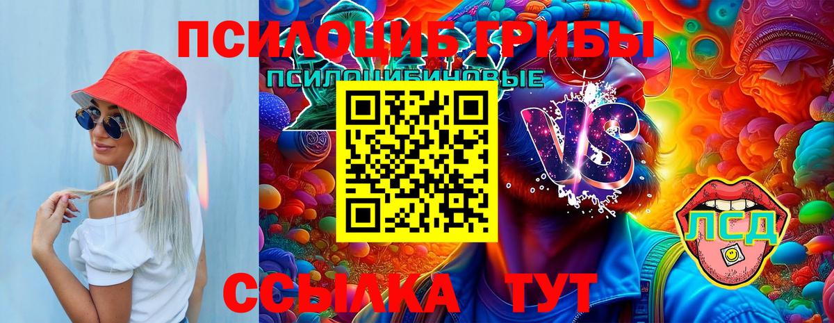 Галлюциногенные грибы Cubensis  Псилоцибиновые грибы MAGIC MUSHROOMS  как найти   Вход с VPN  Кумертау 